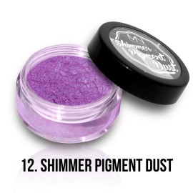 Shimmer Pigment Dust - 12 - 2g